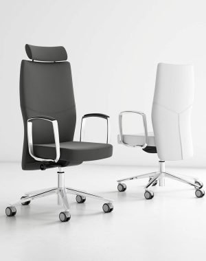 Sillas de dirección