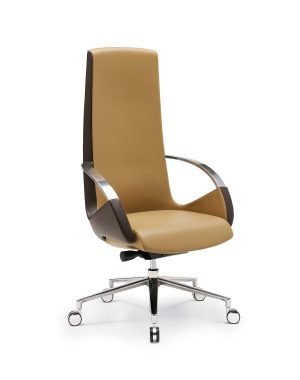 Sillas de dirección